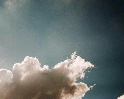 明星副业投资案例
