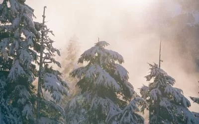 闲置利用