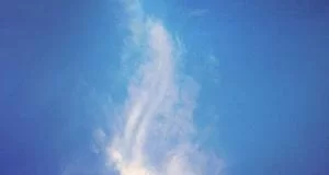 浏览任务大厅选择合适商品