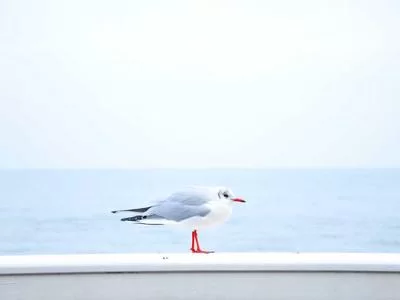 朋友圈运营策略示意图