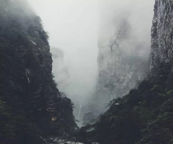 女性在家通过手机做副业轻松赚钱的场景展示