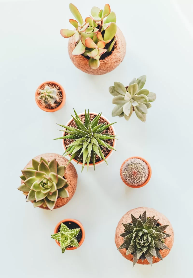 副业捏手工制作粘土DIY场景展示